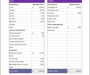 Net Worth Statement Template