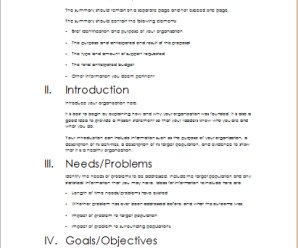 Project Outline Template