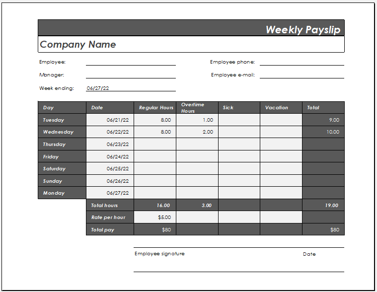 One week payslip template