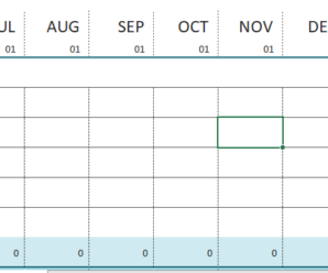 Cash Flow Report Worksheet