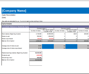 Equity Reconciliation Report Worksheet